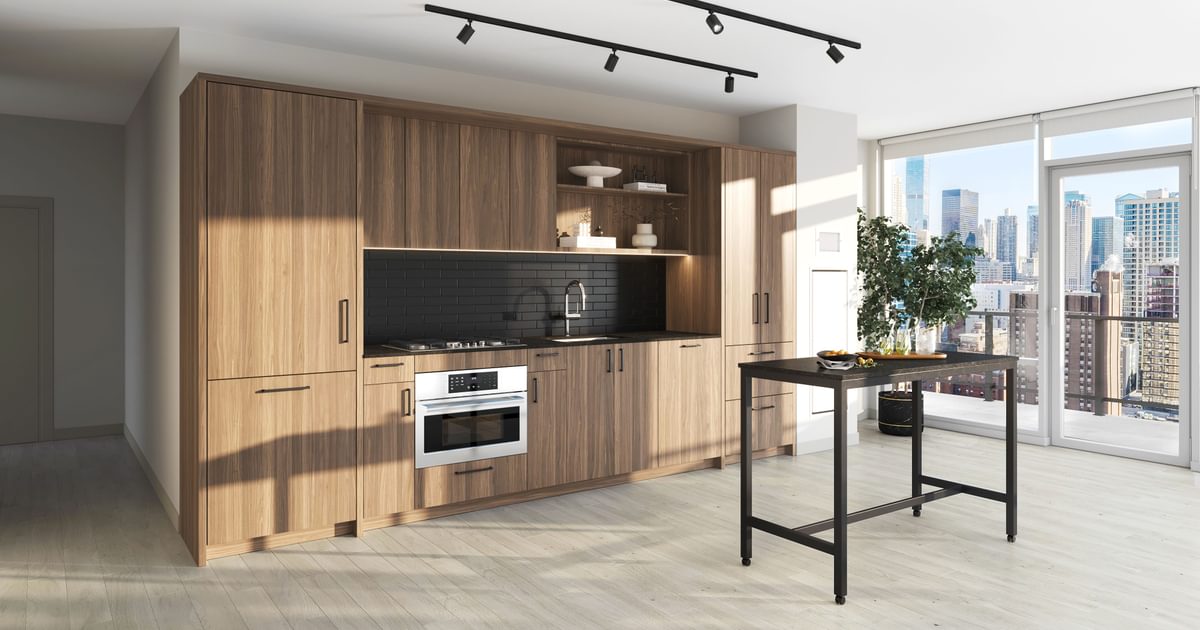 920 North Wells apartment kitchen interior - Chicago, IL