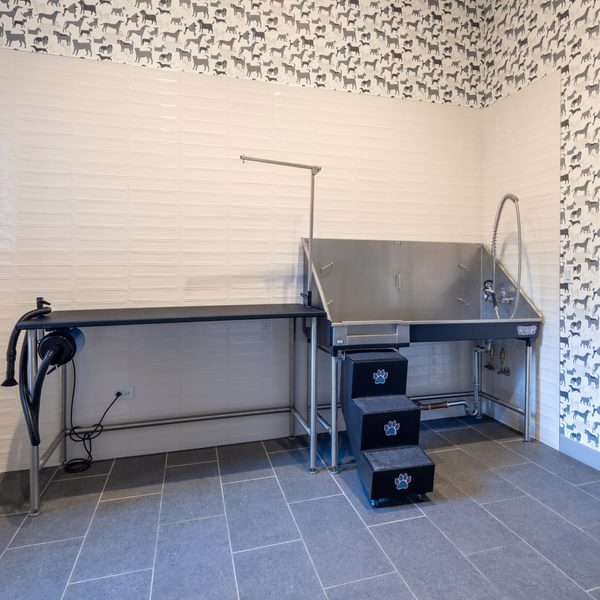 920 N Wells Dog Wash