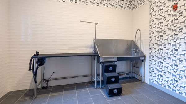 920 N Wells Dog Wash