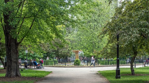 Park Washington Square 0946